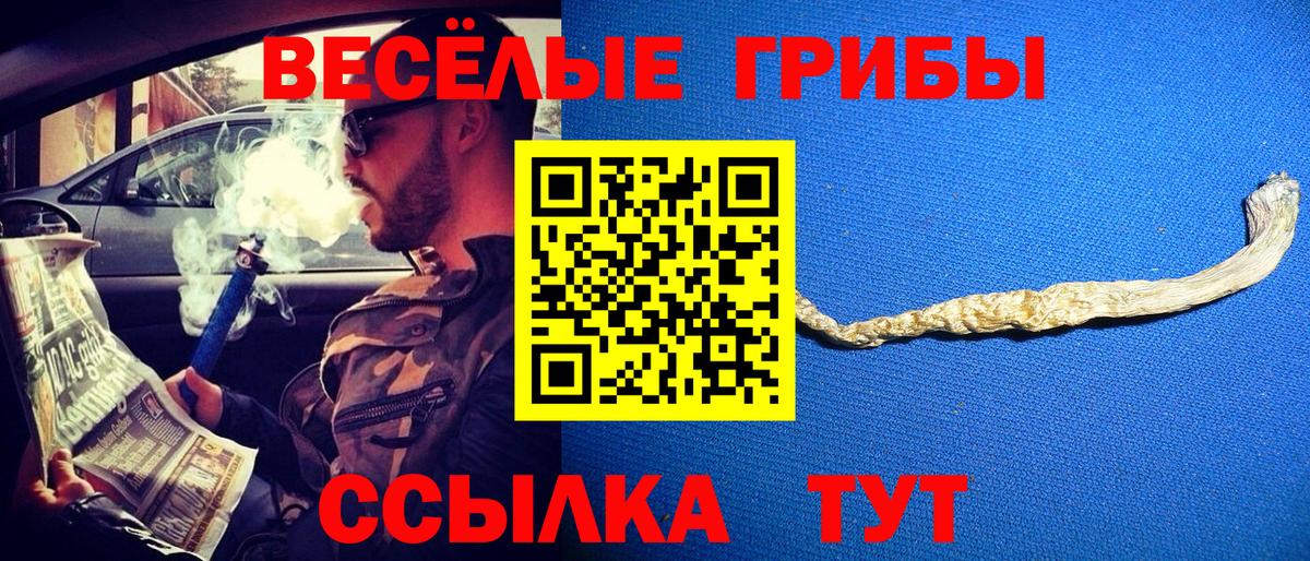Псилоцибиновые грибы Psilocybe Кыштым